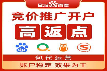 百度SEO推广策略：如何快速提升网站排名？——案例详解